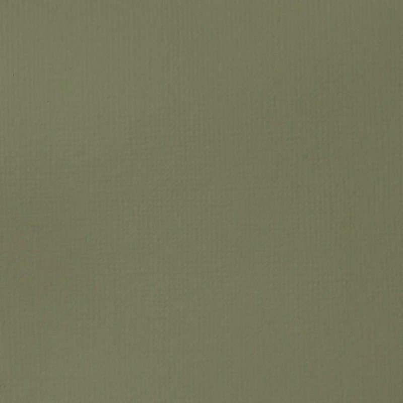 Liquitex Basics 118ml Acrylic 205 Green Gray