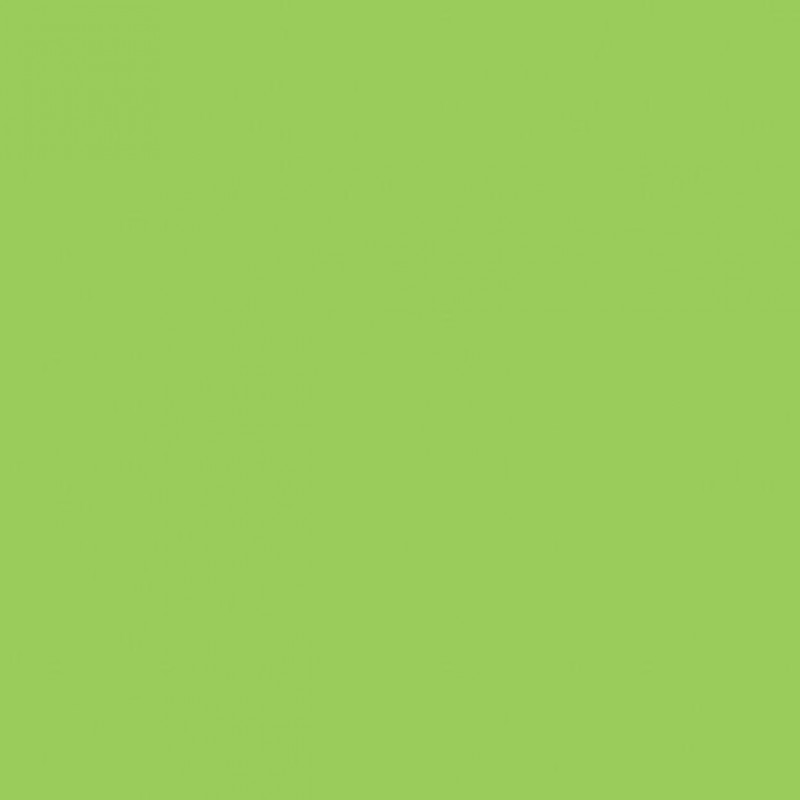 Winsor n Newton Μαρκαδόρος Promarker G258 Leaf Green
