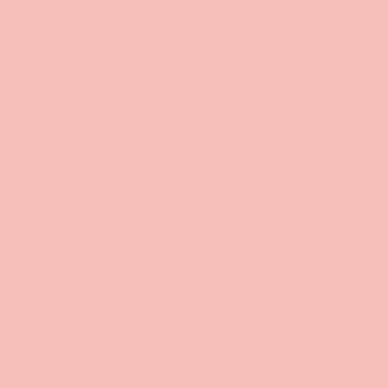 Winsor n Newton Μαρκαδόρος Promarker O629 Pink Camellia