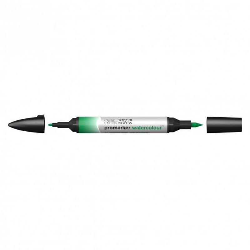 Winsor n Newton Μαρκαδόρος Promarker Watercolour 311 Hookers Green