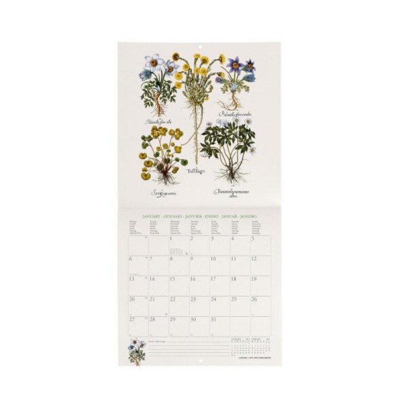 Legami 2025 Wall Calendar 18x18cm Herbarium