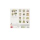 Legami 2025 Wall Calendar 18x18cm Herbarium