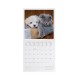 Legami 2025 Wall Calendar 18x18cm Best Friends