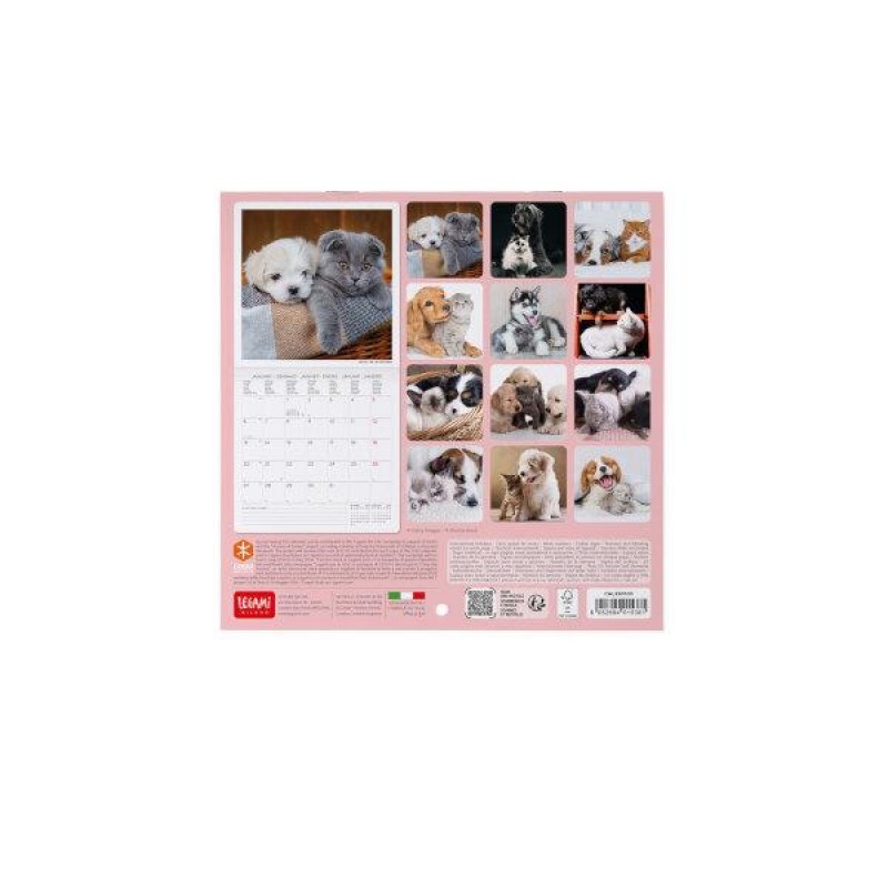 Legami 2025 Wall Calendar 18x18cm Best Friends