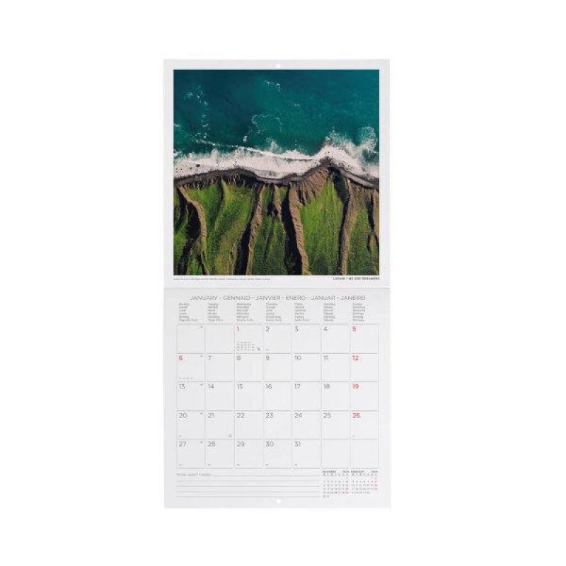 Legami 2025 Wall Calendar 18x18cm Vitamin Sea