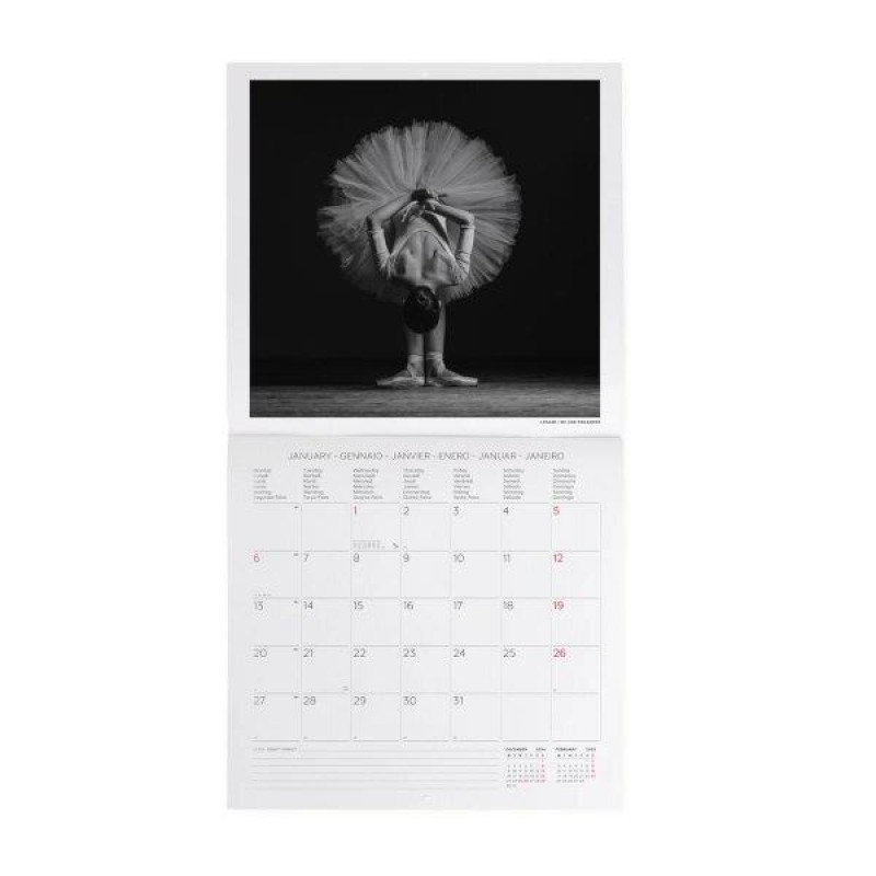 Legami 2025 Wall Calendar 30x29cm Ballet