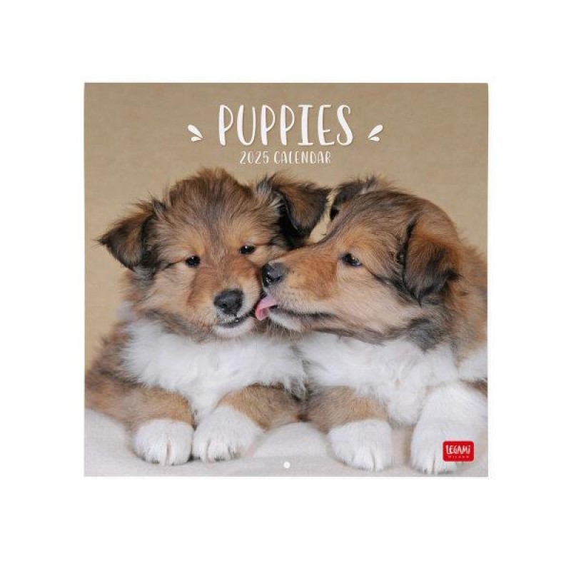 Legami 2025 Wall Calendar 30x29cm Puppies