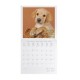 Legami 2025 Wall Calendar 30x29cm Puppies