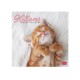 Legami 2025 Wall Calendar 30x29cm Kittens