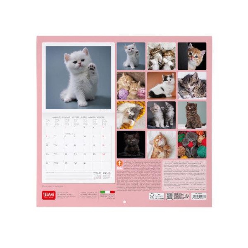 Legami 2025 Wall Calendar 30x29cm Kittens