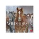 Legami 2025 Wall Calendar 30x29cm Wild Horses