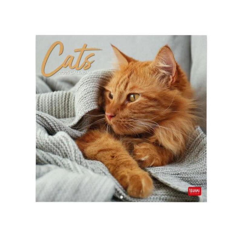 Legami 2025 Wall Calendar 30x29cm Cats