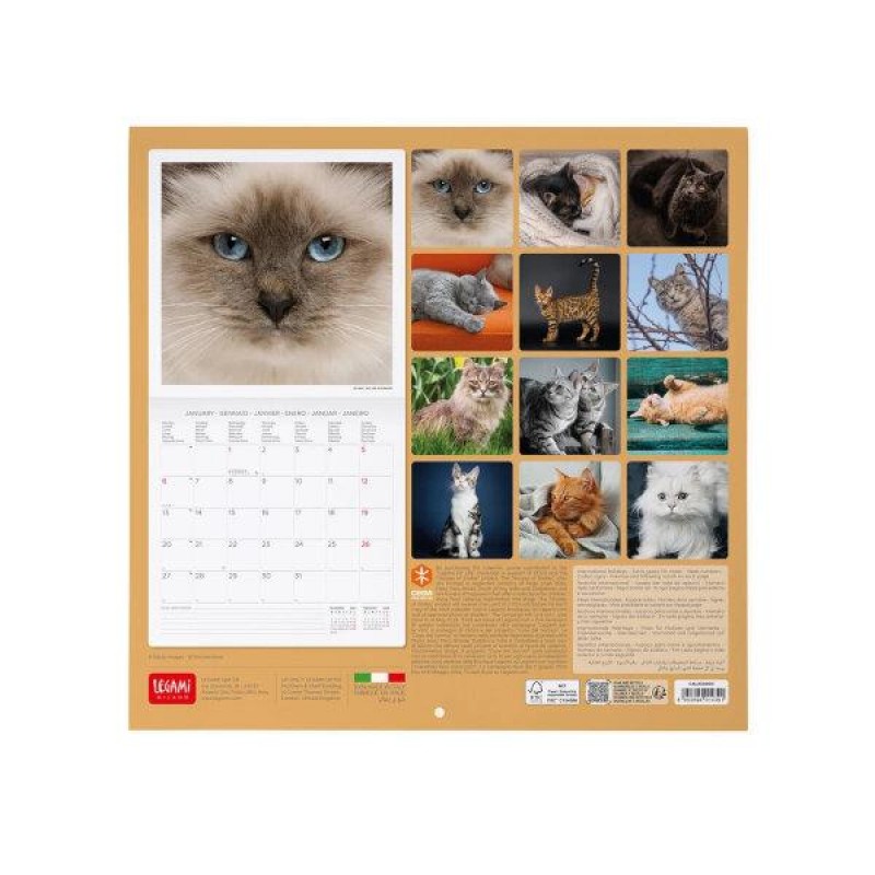 Legami 2025 Wall Calendar 30x29cm Cats