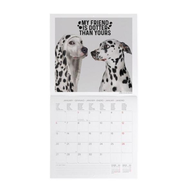 Legami 2025 Wall Calendar 30x29cm Supawstar