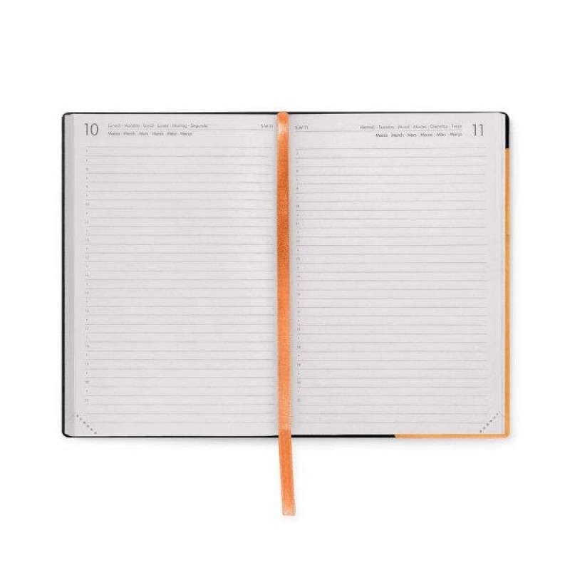 Legami 2025 12 Month Daily Diary Medium Apricot Crush