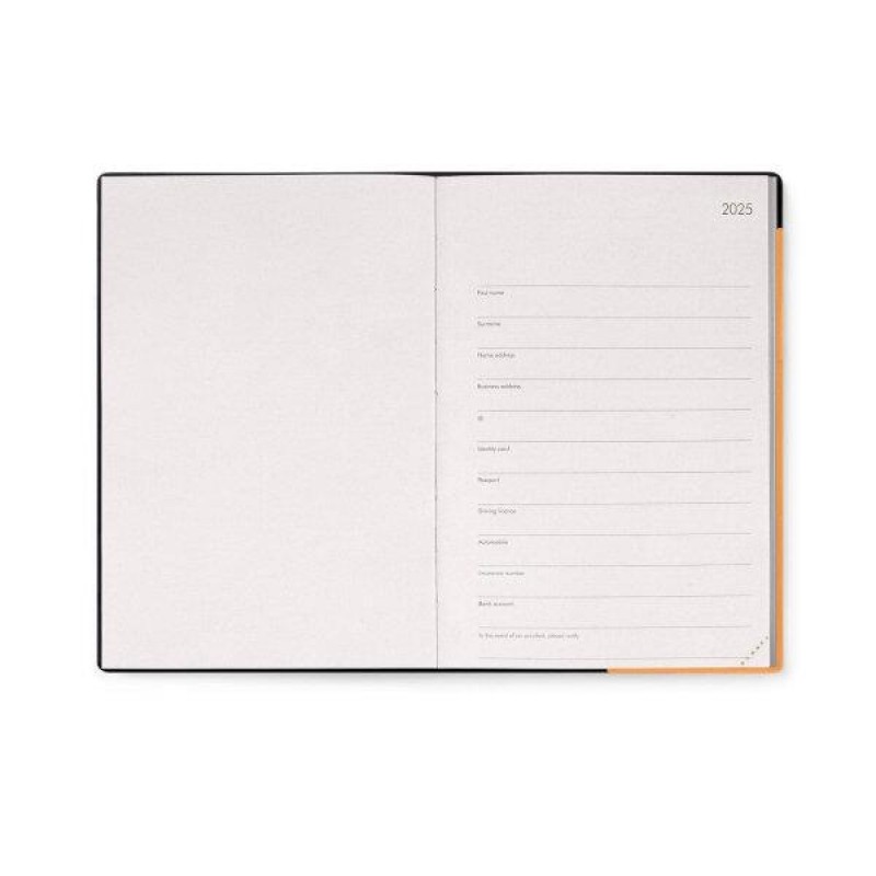 Legami 2025 12 Month Daily Diary Medium Apricot Crush