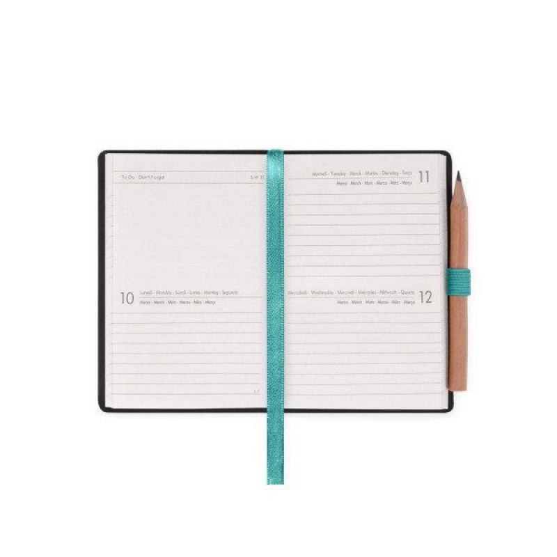 Legami 2025 12 Month 2-Day Diary Mini Milk-Mint