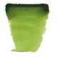 Van Gogh Watercolour Half Pan 623 Sap Green