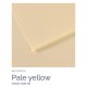 Mi-Teintes A4 21x29,7cm 160gr 101 Pale yellow