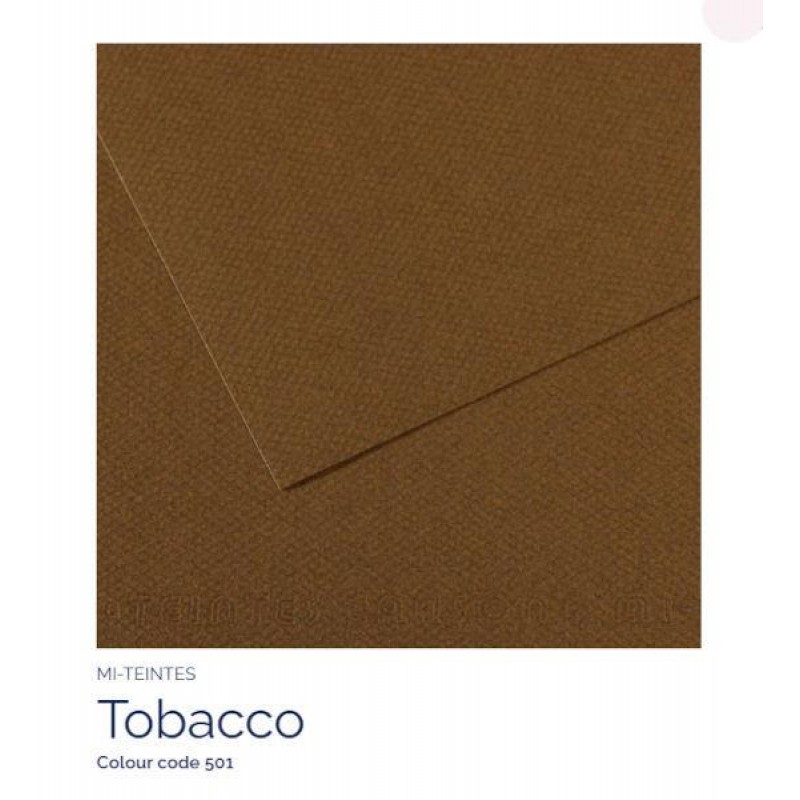 Mi-Teintes 50x65cm 160gr 501 Tobacco