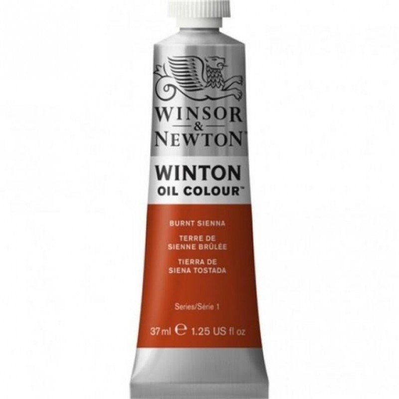 Winton Oil 37ml 074 Burnt Sienna