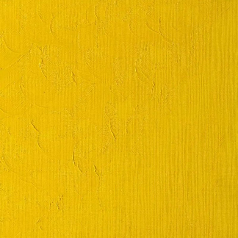 Winton Oil 200ml 119 Cadmium Yellow Pale Hue