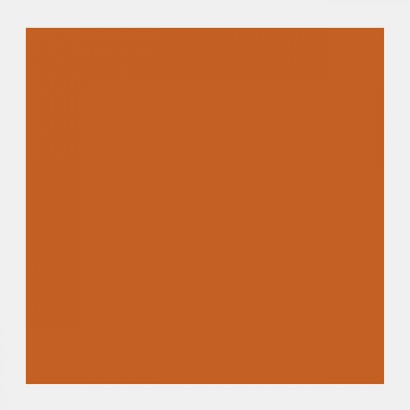 Talens Gouache 20ml No 234 Raw Sienna