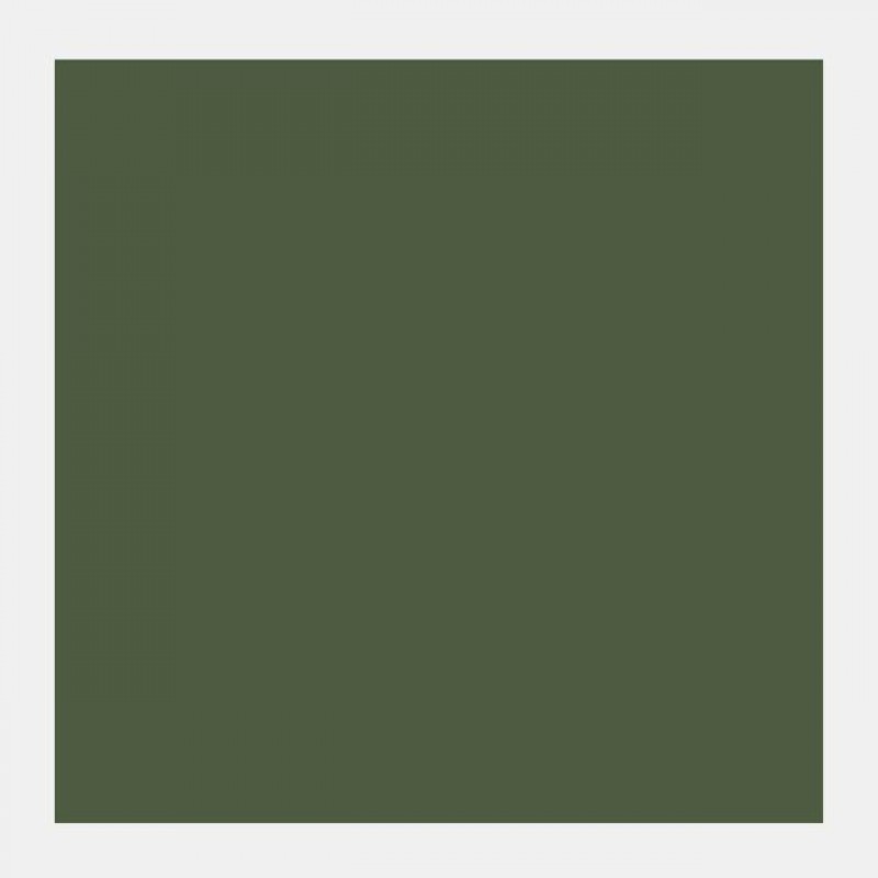 Talens Gouache 20ml No 620 Olive Green